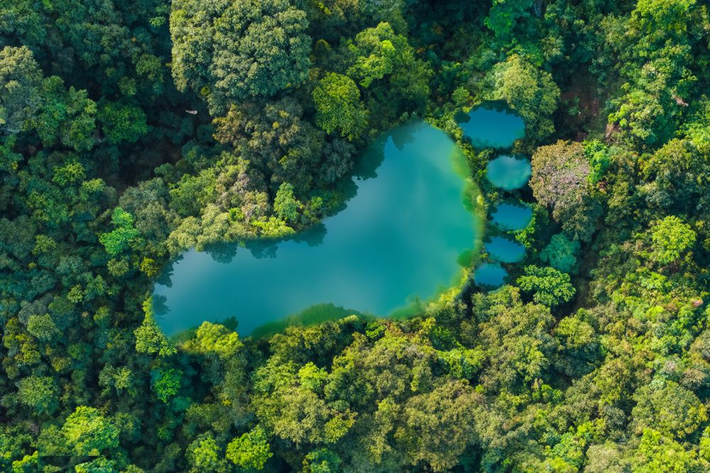 Ein Wald mit einem See in Form eines Fußabdrucks